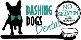 Dashing Dogs Dental