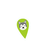 Sedation Free Dog Teeth Cleaning in cleaning Kelowna