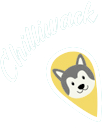 Vancouver Dog Teeth Cleaning - Sedation Free Clinic Chilliwack