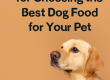 Best Dog Food for Your Pet