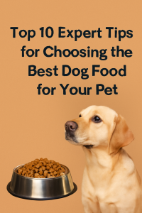 Best Dog Food for Your Pet