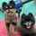 dog teeth cleaning in vancouver