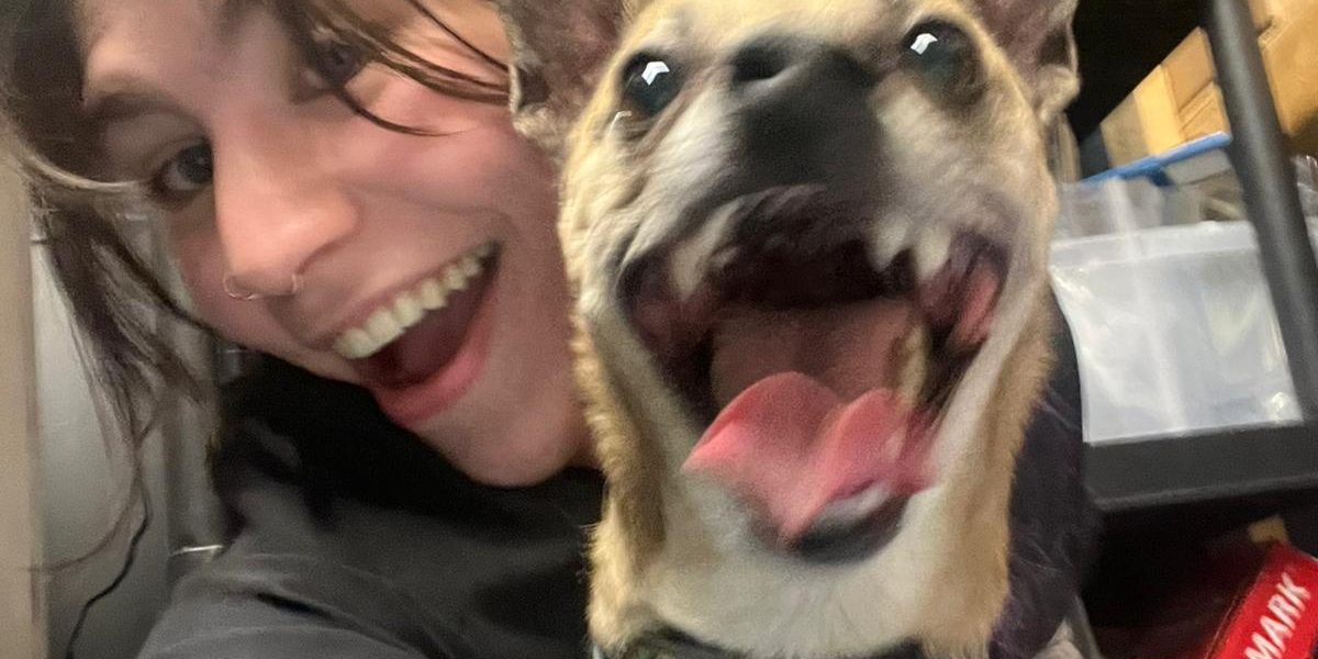 no sedation dog teeth cleaning near me