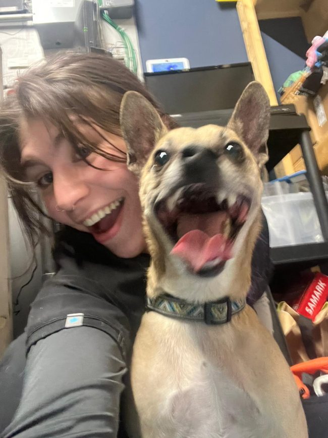 no sedation dog teeth cleaning near me