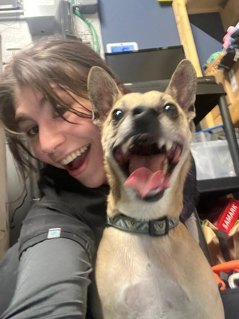 no sedation dog teeth cleaning near me