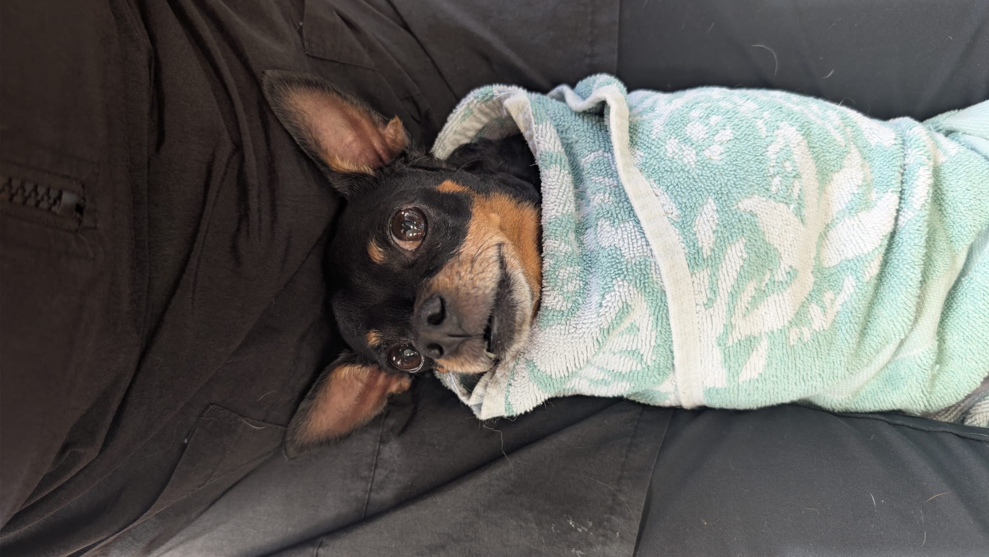 5ee577ee-1d2a-484a-a7f3-a0bcb809488a